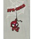 Σετ για αγόρι spiderman