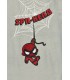 Σετ για αγόρι spiderman