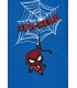 Σετ για αγόρι spiderman
